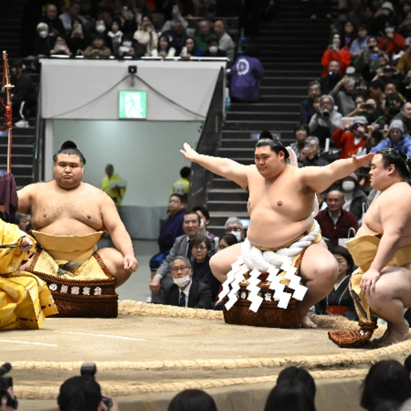 Sumo_image