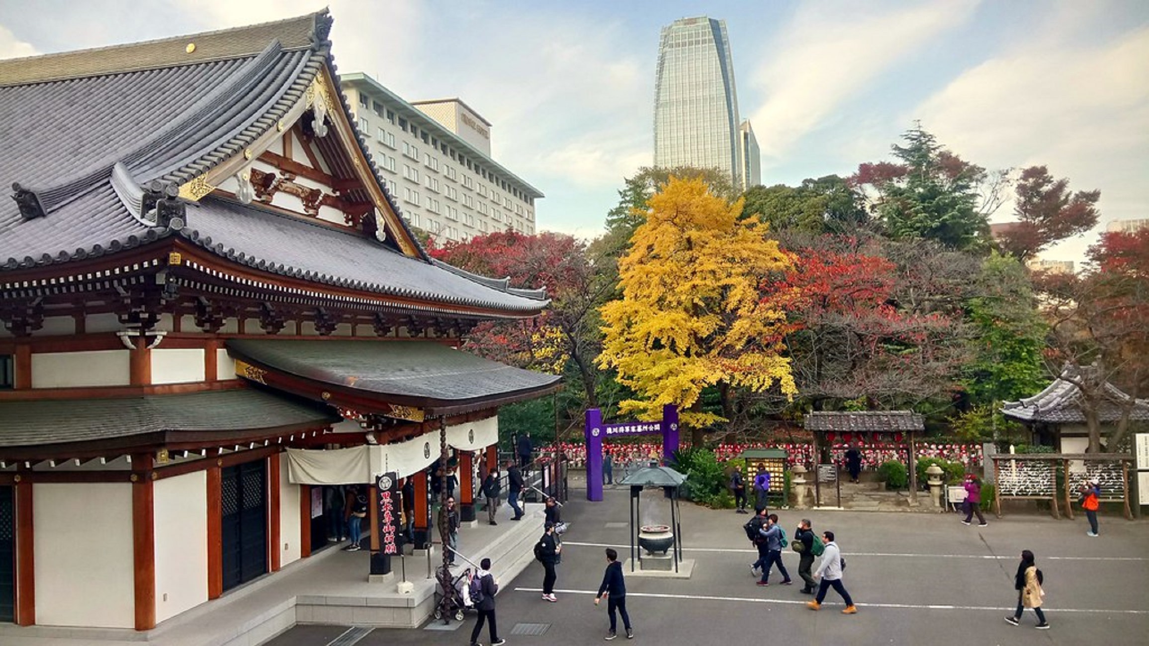 Tokyo Tower Top Deck & Zojo-ji Half-day Guided & Walking Tour_image