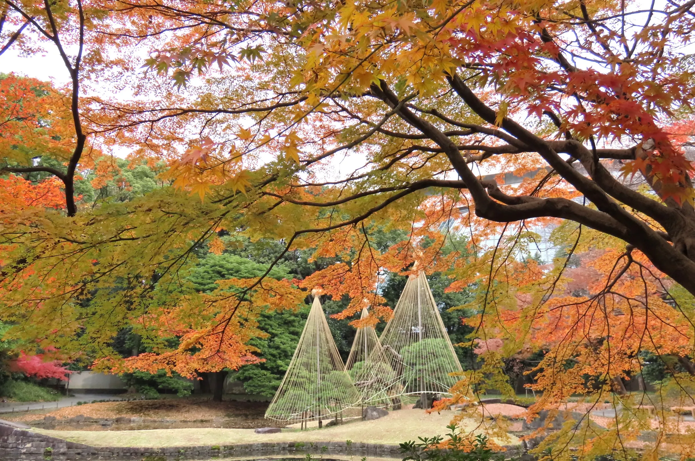 Jardines Koishikawa Korakuen_image