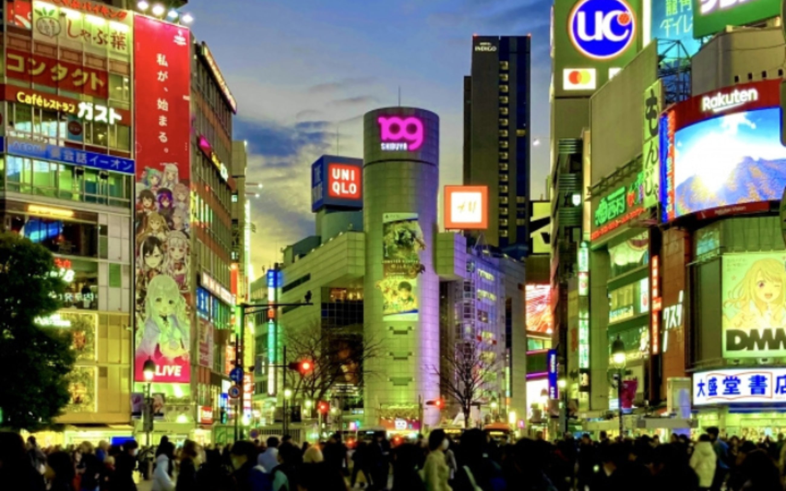 Shibuya 2 Popular Spots Half-Day City Highlights Tour_image