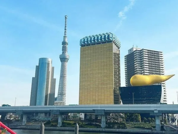Tokyo Walking Tour: Asakusa & Skytree + HADO AR Battle_image