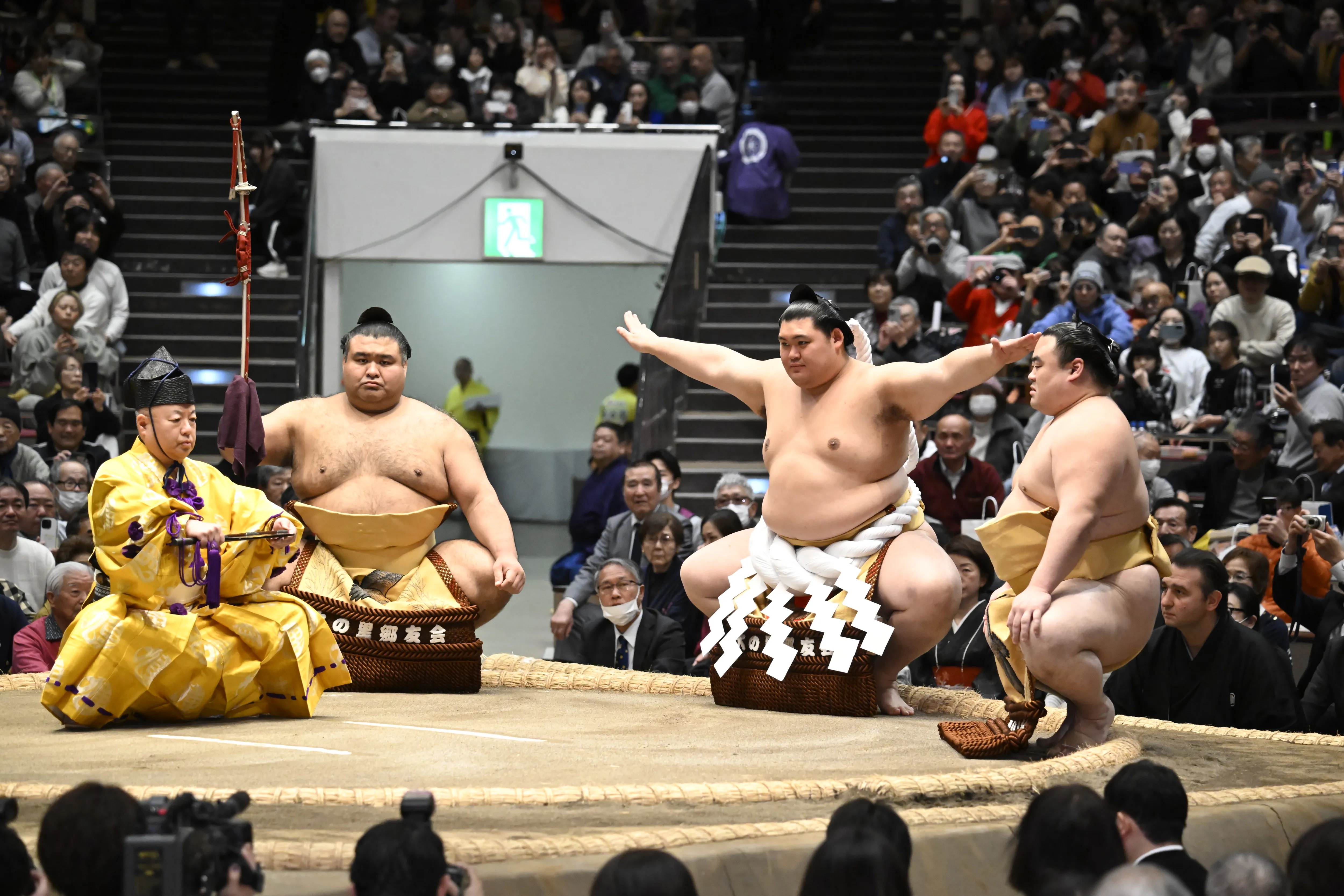 Sumo_image