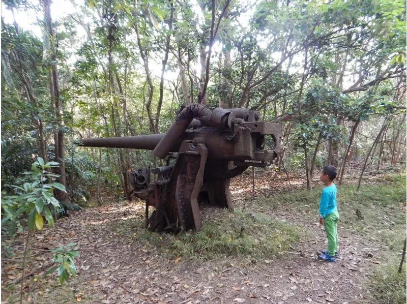 [Ogasawara/half-day Battlefield Tour] Around the history of war remaining in nature_image
