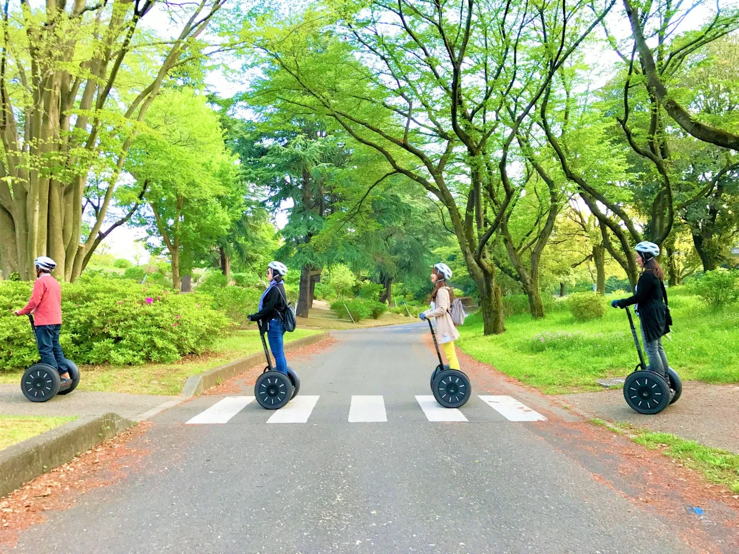 Esperienza in Segway nel parco Showa Kinen di Tokyo_image