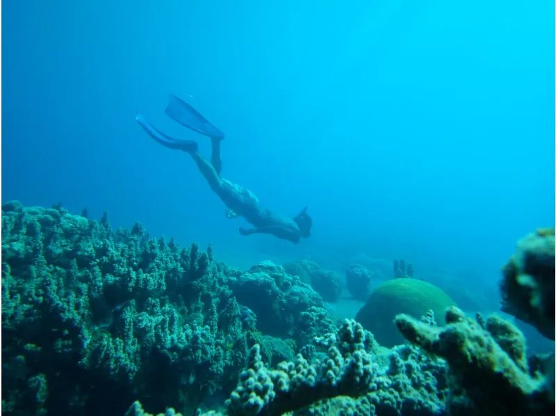Beginner's Snorkeling Lesson: Discover the Underwater World with Guided Tour_image