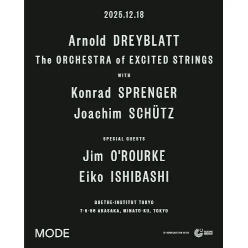 Arnold Dreyblatt & The Orchestra of Excited Strings_image