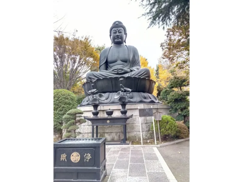 【東京・板橋】6Km　東京大仏他、散策ウォーキング　(植物園、美術館、郷土資料館、路地裏、見所多数)_image