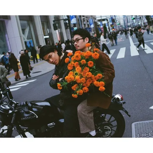 YOGEE NEW WAVES_image