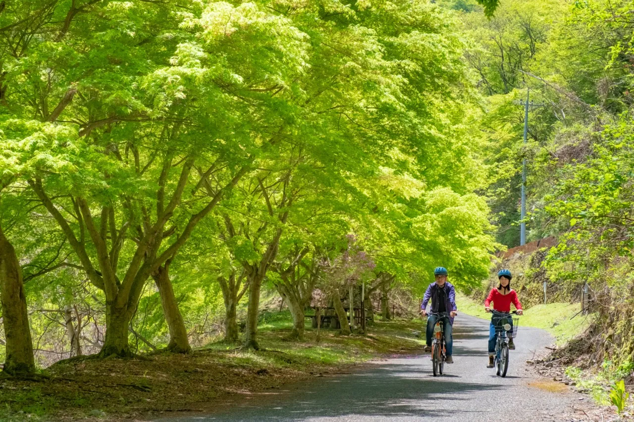 Visite à vélo d'une demi-journée de la métropole de Tokyo et de la route historique d'Okutama_image