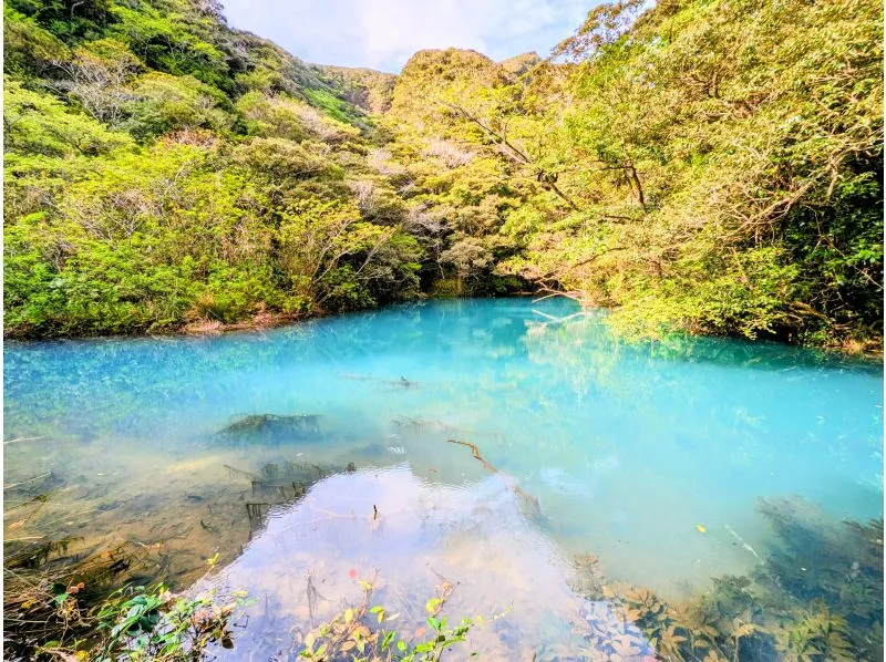 [Tokyo/Hachijojima] Climbing the streams! Karatakigawa trekking_image