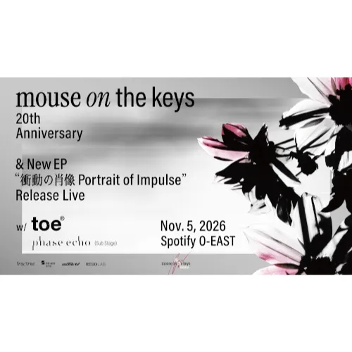 mouse on the keys_image